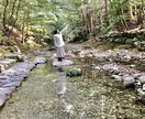 あなたの癒しと目覚めをサポートします あなたの真の豊かさと愛につなげるお手伝い♫ イメージ3