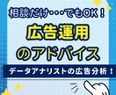 データアナリストがWEB広告運用のアドバイスします 15,000円！データアナリストの広告分析と改善案！ イメージ1