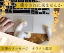 つらいお悩みに天使からのメッセージをお届けします ♡天使からの癒しのメッセージで心を軽くしませんか？ イメージ3