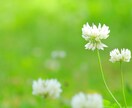 あなたはできる！大丈夫！全力で背中を押します お仕事/試験/筋トレ/趣味/家事/お風呂まで/超肯定で応援！ イメージ5