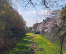 景色や日本の観光地の写真を提供いたします 待ち受けやいろいろな場面でお使いください。 イメージ10