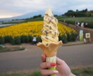 山梨県 夏1日満喫プラン教えます 夏休みに子供と出かけたい！少し遠出して遊びたい！あなたへ イメージ1