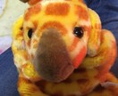 ペットのお名前考えます ペットを飼いたいけど名前を迷っている方へ イメージ1