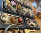 あなた代わりに素敵な写メ撮ります インスタをキラキラさせたいあなた！代わりに写メ撮ります！ イメージ1