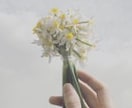 お花からのメッセージを伝えます 花束や、鉢植えの植物等のメッセージを伝えます イメージ1