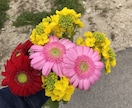 もやもやな気持ち回収します 日頃のもやっとした気持ちを否定なしでお聞きします！ イメージ1
