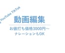 YouTube TikTok動画も編集します いろいろなジャンルの動画編集承ります イメージ1