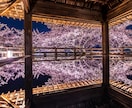 日本全国、御朱印旅のアドバイスをします プロの不動産マン、食べログプレミアム会員、お気軽にどーぞ笑 イメージ4