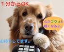悩み、愚痴の吐出し。喜びの共有。秘密厳守します 気軽な話し相手、あなたのそばに。 イメージ1