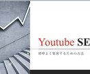 YouTubeSEOなどについて詳しく解説します 伸び悩んでいる方にオススメします。 イメージ1