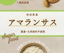 目を引くチラシを作成いたします 洗練されたデザイン、インバウンド向けにも対応 イメージ5