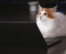 組み込みシステム開発のご不明点にお答えします 先輩社員には聞きづらい技術的なこと、何でもご相談下さい！ イメージ1