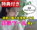 ブログSWELLの初期設定、カスタマイズします 読者の購入意欲を促進する、診断ツールアプリを無料で作成進呈 イメージ1