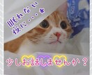 なんだか考えて眠れない…そんな夜にお付き合いします 初めまして！サラです。気分を変えるお手伝いします！ イメージ1