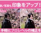 写真を明るく加工・不用物削除します 【1枚125円】スマホの写真をプロレベルに補正【即日対応可】 イメージ1