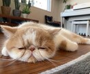 愚痴聞きます 愚痴、相談、話し相手、なんでも優しくお話し聞きますよ！ イメージ1