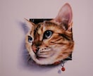 あなたのペットが色紙から【飛び出す絵】を描きます 参考画像のような色紙画面から飛び出して見えるアナログ画です イメージ6