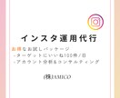 お試しプラン！インスタ運用代行します 「まずはコレ！！」これからインスタ運用をする方必見！！ イメージ1