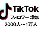 TikTokフォロワー2000人〜増やします 最大2万人まで 安心のSNS運用 イメージ4
