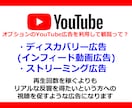 Youtube再生回数最大100万回迄増加します Youtube動画マーケティングの宣伝・バイラル、収益化！ イメージ4