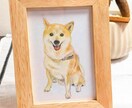 温もり色鉛筆のペット似顔絵、描きます 写真以上の"ぬくもり"を色鉛筆でふんわりリアルに イメージ1
