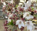 なんでも愚痴聞きます すこしでも楽にします。全てお聞かせください。 イメージ1