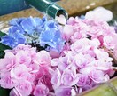 お宮参り・七五三等の写真を撮影をいたします 現役神職がお宮参り・七五三・成人式等のお写真を撮影します。 イメージ3