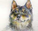 人もペットも!似顔絵描きます 人もペットも、色鮮やかな色鉛筆画で描きます。 イメージ1