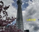 国内・海外問わず！最高の旅行プランを作成します 思い出に残る旅行プランを提案します！ イメージ7