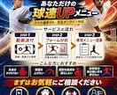 クリケット目線で野球のピッチング球速を上げます 器具・お金は一切不要！全身のバネを使う独自の投法伝授 イメージ3