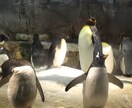 みんなの色々な相談☆話し相手になります どんな悩み、話でもどうぞ！チャットで安心！ イメージ3