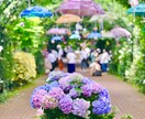 映える神奈川の旅プラン作成します 美しい景色や驚きの体験など映える旅を紹介します イメージ7