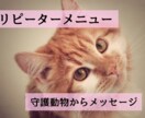 守護動物からのメッセージをお伝えします リピーター専用のメニューです。 イメージ1