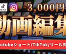 SNS用動画編集　代行します YouTubeショート　TikTok   リールお任せ下さい イメージ1