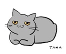 ゆるシンプル♡あなたの猫ちゃんのイラストを描きます SNS・ブログ等のアイコンにも♪ イメージ2
