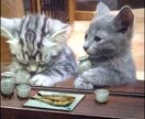 愚痴、悩み、心のモヤモヤを言葉に出して、スッキリしませんか？ イメージ1
