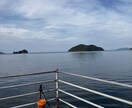 辛い気持ちの整理手伝います 詐欺被害者に共感し寄り添います。独りで抱え込まないで。 イメージ2