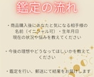 あなたの財運を覚醒し、豊かさを呼び込む鑑定をします 停滞した金運を浄化し成功への扉を開くための財運好転バイブル。 イメージ2