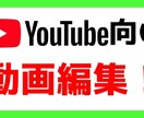 最安！動画編集代行します カット、BGM、テロップを全て入れて編集します！ イメージ1
