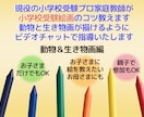 描ける！小学校受験の為の受験絵画お教えいたします 小受家庭教師が受験絵画を指導いたします（動物＆生き物画編） イメージ1