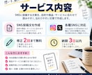 SNSの投稿文章を丁寧に作成しますます Instagram・Xなど伝わる投稿文を作成します イメージ2