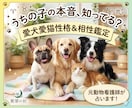 愛犬愛猫の性格鑑定＆飼い主様との相性鑑定します 四柱推命と星読みで、愛犬愛猫の気質とあなたとの深い絆を紐解く イメージ1