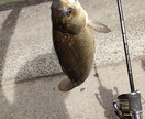 川魚料理のコツ教えます 実は高価な川魚を自宅で食べてみませんか イメージ4