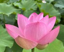 心のモヤモヤ（恋愛／親／子育て／義親等）を聞きます モヤモヤ溜め込んでませんか？爆発する前に吐き出しましょう！ イメージ5