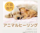 虹の橋のペット(犬猫)さんからのお手紙届けます ペットロス経験者があなたのお心や喪失感に寄り添い愛を イメージ6