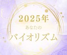 初出品⭐️特別価格！あなたのバイオリズム診断します 2025年を飛躍の年に！全体&月別の行動指針 イメージ1