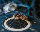 あなたの星が紡ぐ世界で１つだけの物語をお届けします インド占星術をもとに、あなたの人生を物語として紡ぐ鑑定です イメージ3