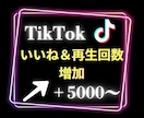 TikTokのいいね＆再生回数5000〜増やします 3投稿まで振分け可◯ティックトックで衝撃のコスパで保証付き！ イメージ1