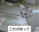 ショート動画のキャプション入れます Instagram・TikTok動画のキャプション入れ イメージ1