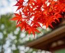 人生相談駆け込み寺☆どんなお悩みも全部お聞きします 恋愛・仕事・子育て・単なる愚痴などオールジャンルOK! イメージ1